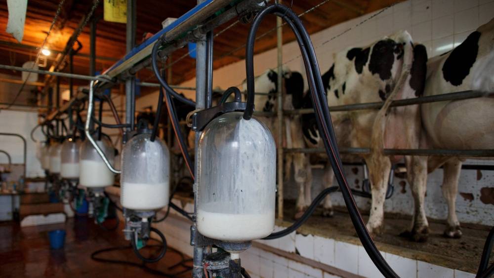 Dairy industry warns of impact of Covid-19 crisis on sector - rte.ie - Ireland