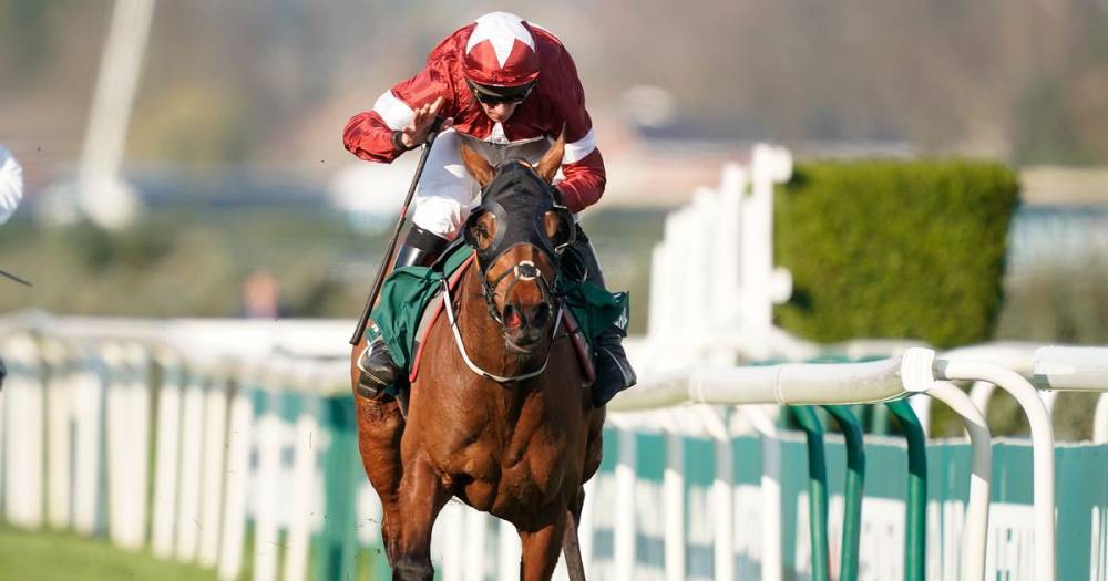 Michael Oleary - Tiger Roll to still get Grand National 2020 hat-trick chance - in virtual running of race - dailystar.co.uk