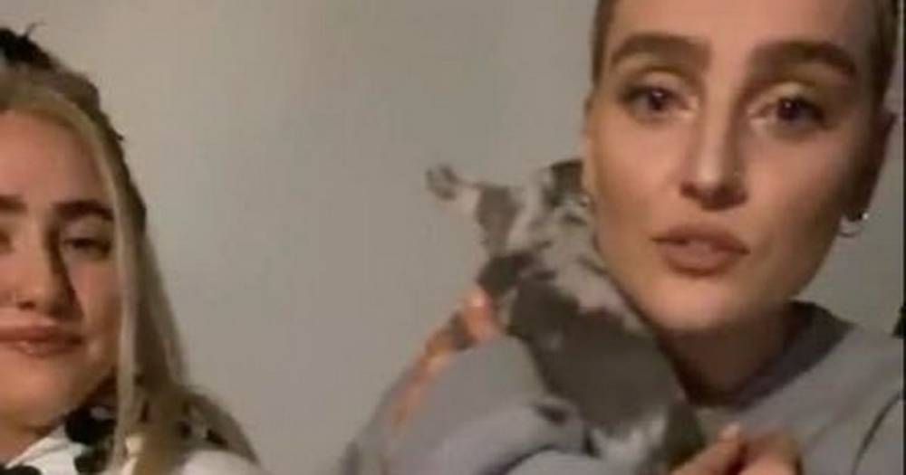 Alex Oxlade - Perrie Edwards - Perrie Edwards shows off adorable new puppy as she eases self-isolation fears with daily wine - dailystar.co.uk