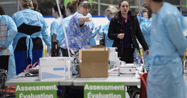 Over 4,000 examined so far at Ottawa’s Brewer Park coronavirus assessment centre - globalnews.ca - city Ottawa