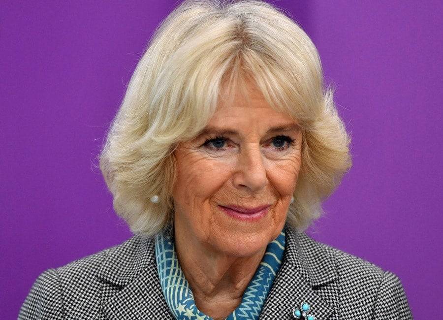 prince Charles - Camilla sends touching message to vulnerable women at home - evoke.ie