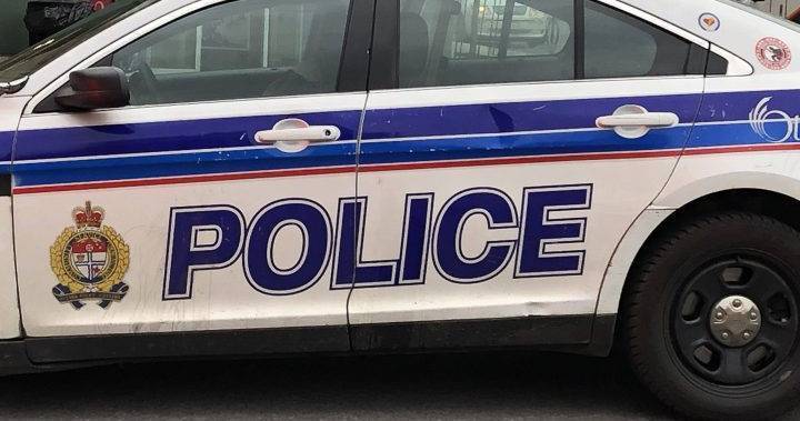 Break-in suspect spat on officers, claimed to have coronavirus: Ottawa police - globalnews.ca - city Ottawa
