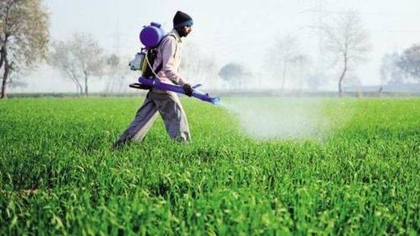 Govt exempts procurement agencies, mandis, farming operations from lockdown - livemint.com - city New Delhi - India