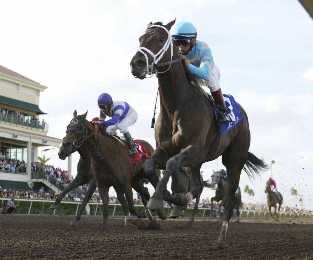 A Florida Derby day like none other looms at Gulfstream Park - clickorlando.com - state Florida - county Miami - county Park - county Jack