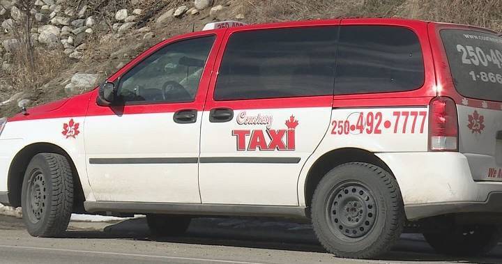 Coronavirus: Okanagan taxi company says fewer cabs, longer waits because of COVID-19 pandemic - globalnews.ca