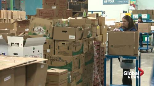 Tech companies raising money for Edmonton’s Food Bank during COVID-19 crisis - globalnews.ca