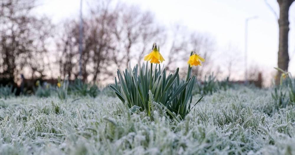 UK weather forecast: Met Office says Brits set for freezing -4C weekend as sun vanishes - mirror.co.uk - Britain