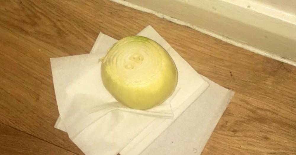 Mums are using onions in a bid to 'protect children against coronavirus' - mirror.co.uk - city Kent
