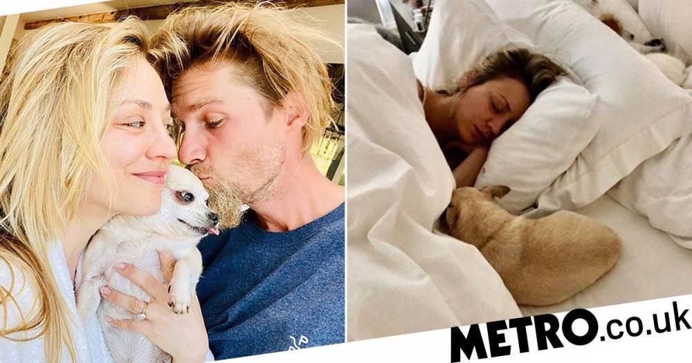 Kaley Cuoco - Kaley Cuoco ending up adopting the senior dog she tried to foster is the happy story we needed today - metro.co.uk