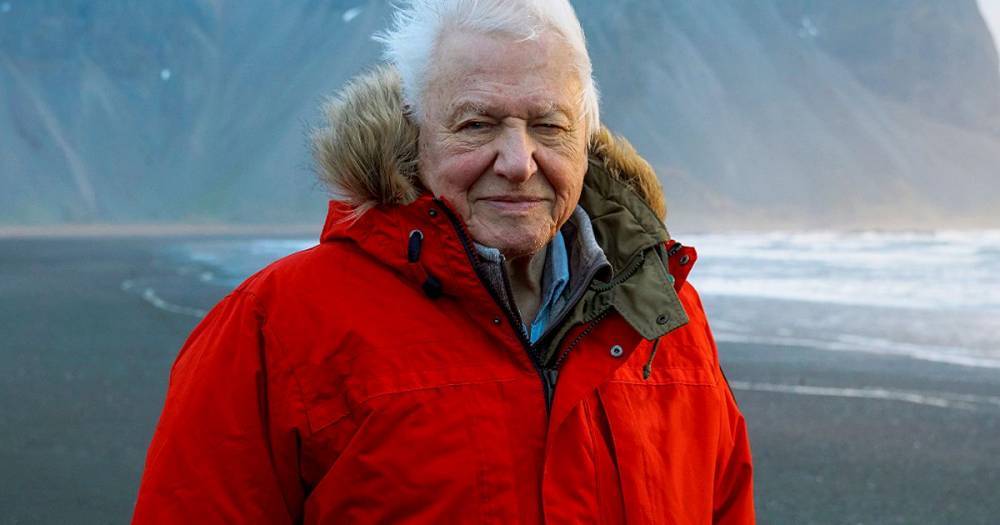 David Attenborough - David Attenborough says coronavirus is short-term problem - climate change isn't - mirror.co.uk
