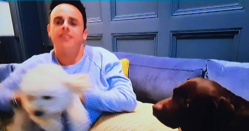 Declan Donnelly - Saturday Night Takeaway fans upset after Ant McPartlin appeared to 'throw' his dogs - manchestereveningnews.co.uk - Malta