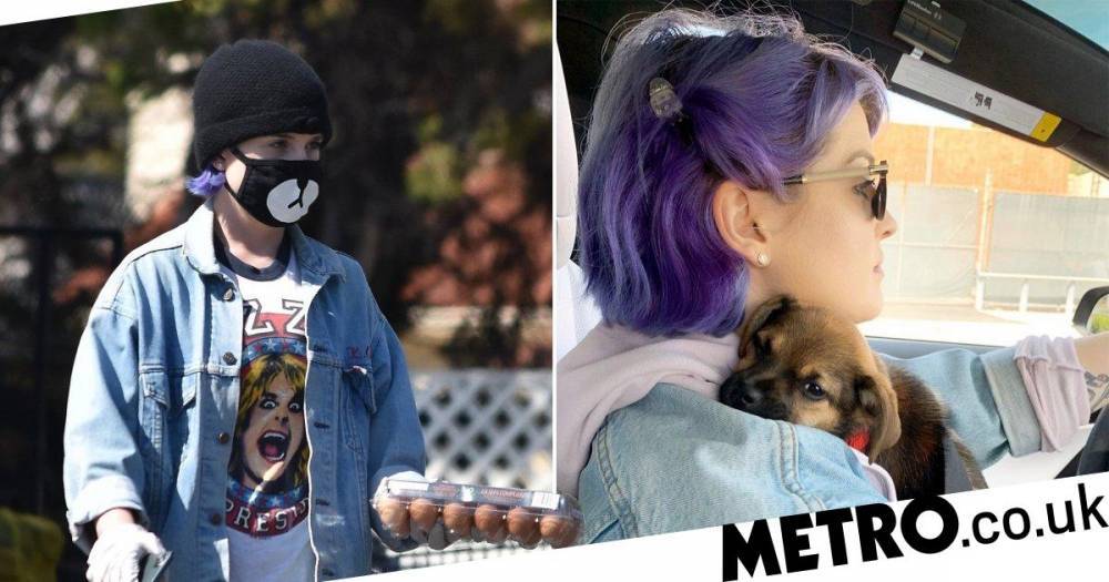 Ozzy Osbourne - Kelly Osbourne - Kelly Osbourne pays tribute to dad Ozzy with rocker t-shirt as she fosters puppy during coronavirus crisis - metro.co.uk - Los Angeles