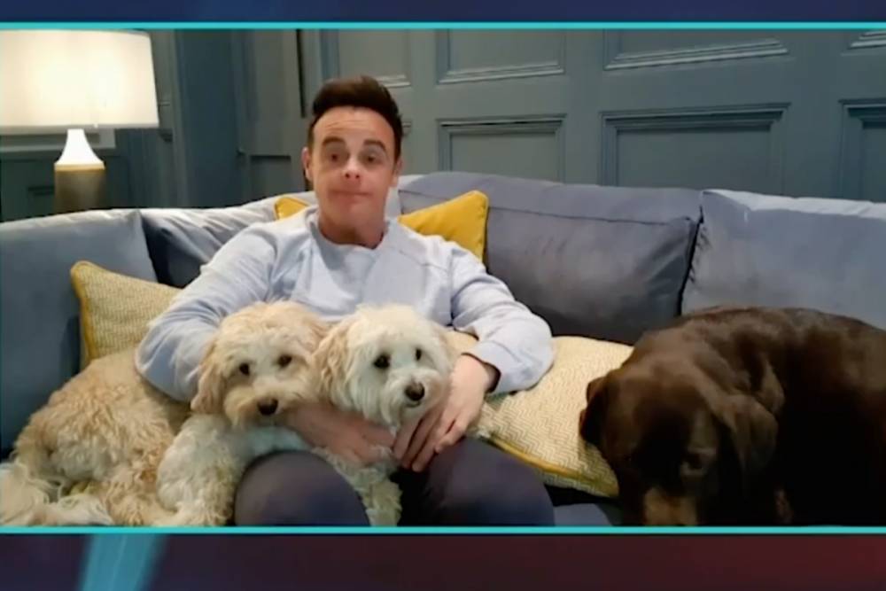Declan Donnelly - Lisa Armstrong - Ant McPartlin reveals he has labrador Hurley during coronavirus lockdown on Saturday Night Takeaway - thesun.co.uk