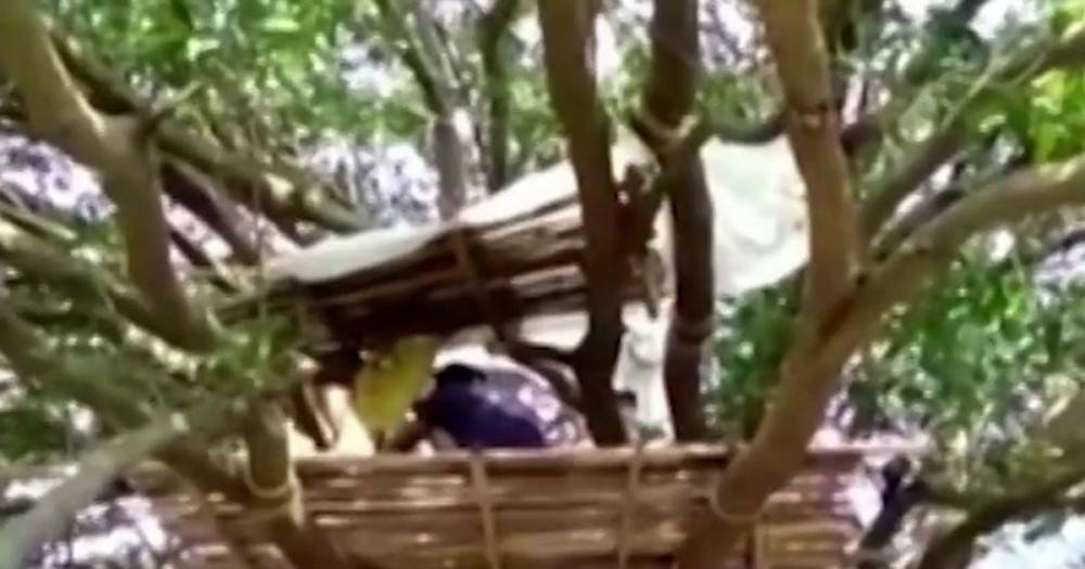 Coronavirus: Villagers in India forced to self-isolate in trees with nowhere else to go - mirror.co.uk - India - city Chennai