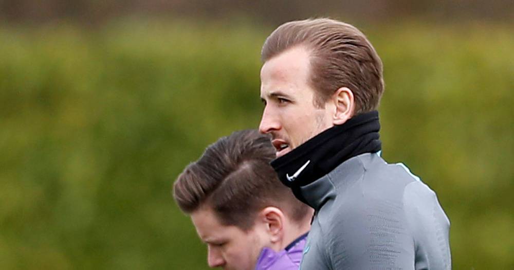 Harry Kane non-committal on Tottenham future and won't stay "for the sake of it" - mirror.co.uk