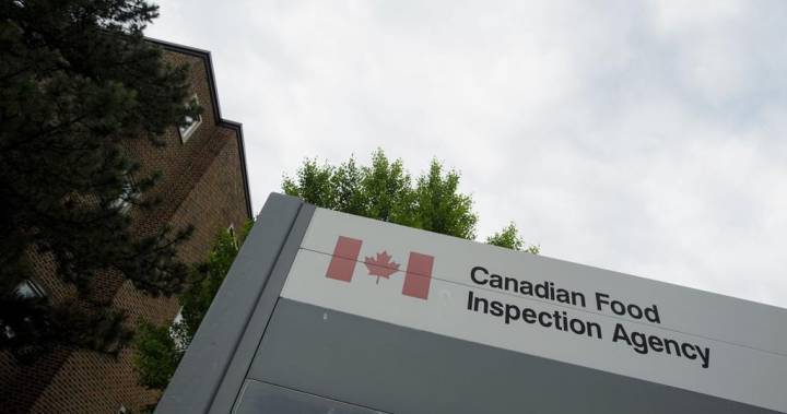 Alberta Health - Federal meat inspectors union seeks safety guarantee amid coronavirus pandemic - globalnews.ca
