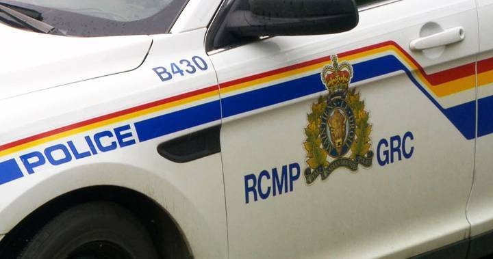 Coronavirus: Saskatchewan RMCP charge 11 suspects for violating public health order - globalnews.ca