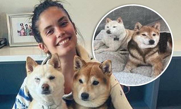 VS Angel Sara Sampaio shows off her completed pup puzzle: 'My only self-quarantine accomplishment!' - dailymail.co.uk - Los Angeles - Portugal