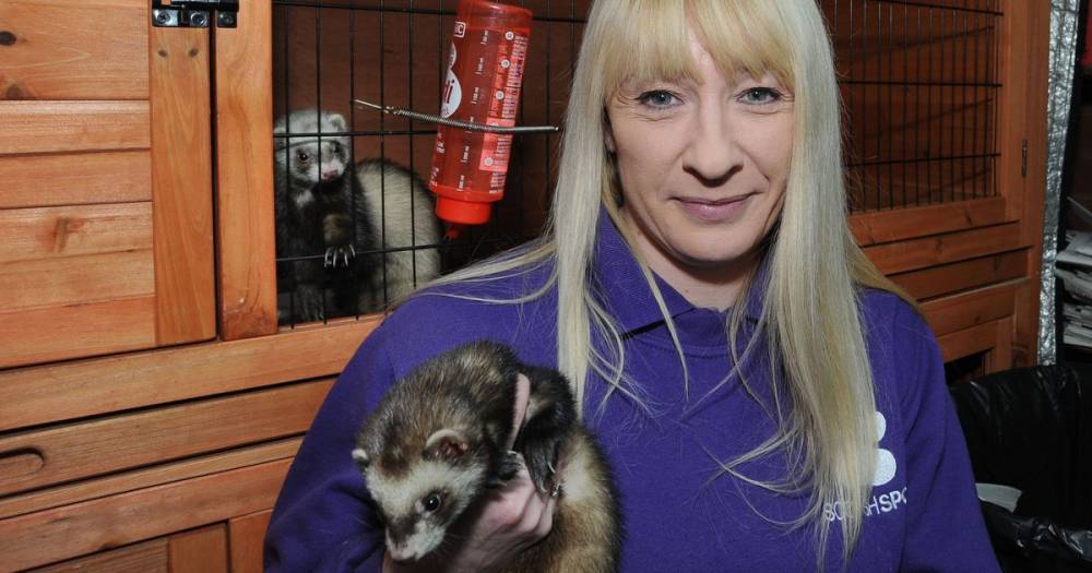 Ayr animal charity's urgent appeal for donations - dailyrecord.co.uk - Scotland