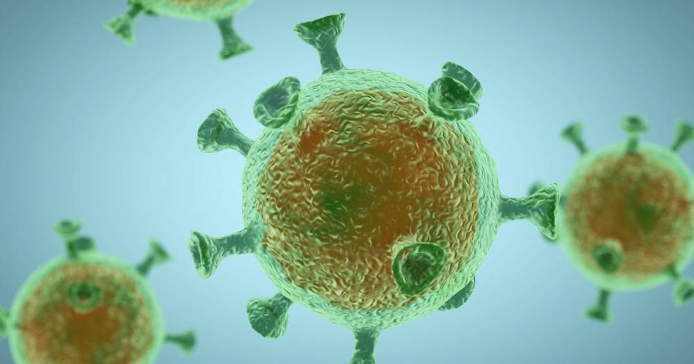 Coronavirus kit developed that can test 200 patient samples in under five hours - mirror.co.uk - Britain - Eu