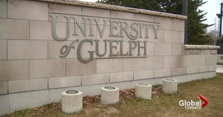 Coronavirus: University of Guelph donates 10,000 masks to frontline workers - globalnews.ca