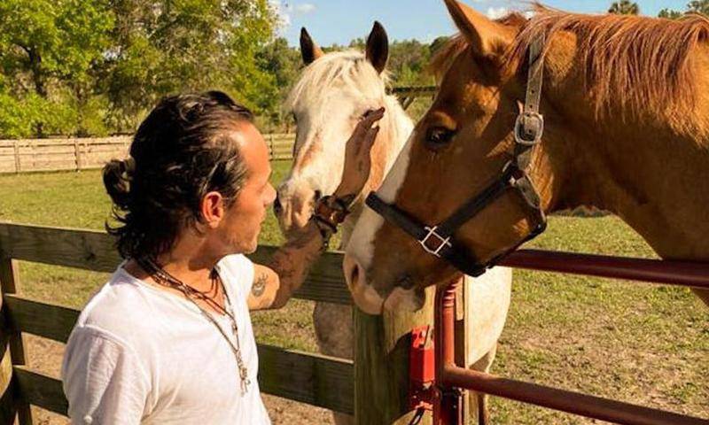 Marc Anthony - Marc Anthony is enjoying his quarantine activities with epic views - us.hola.com - Puerto Rico