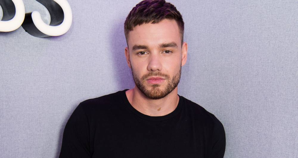 Liam Payne - Liam Payne Donates 360,000 Meals To Families In Need Amid Pandemic - justjared.com