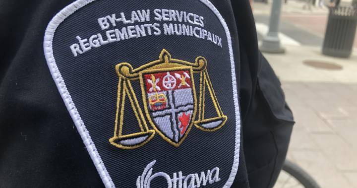 Jim Watson - Ottawa mayor calls parties amid pandemic ‘idiotic’; bylaw team to enforce new group ban - globalnews.ca - city Ottawa