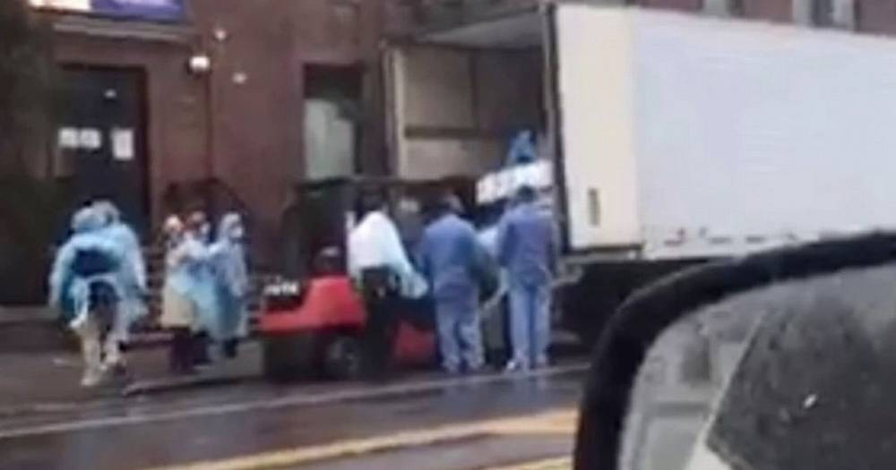 Coronavirus: Horrifying moment forklift loads dead bodies into refrigerated truck - mirror.co.uk - New York