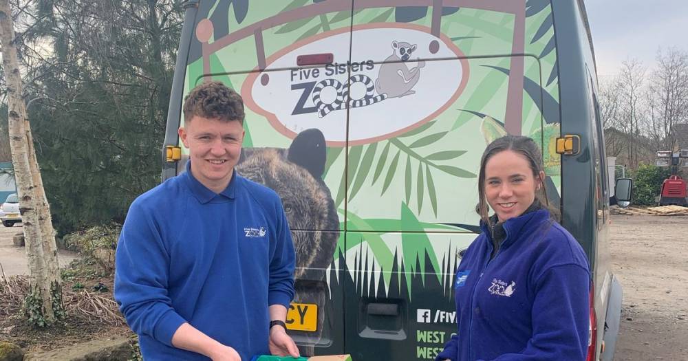 Popular West Lothian zoo appeals for donations to ensure it will reopen again after coronavirus crisis - dailyrecord.co.uk