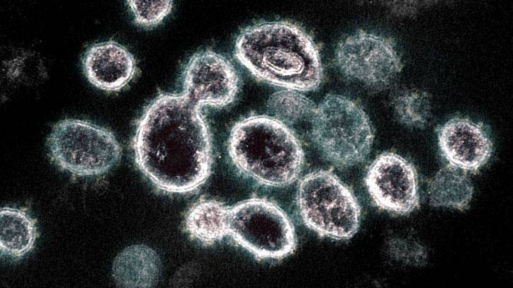 Coronavirus could be airborne, study suggests - fox29.com - Washington - state Nebraska