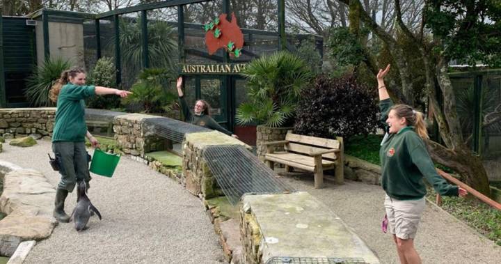 Zookeepers self-isolate in U.K. wildlife park for 3 months to look after animals - globalnews.ca