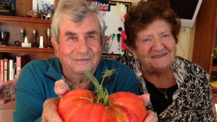 Skokie couple with COVID-19 dies hours apart - fox29.com - state Illinois - Ukraine - county Cook