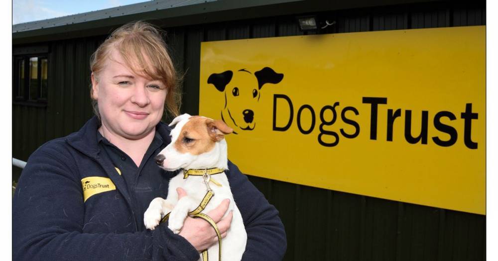 West Lothian Dog Trust thanks public - dailyrecord.co.uk - Britain