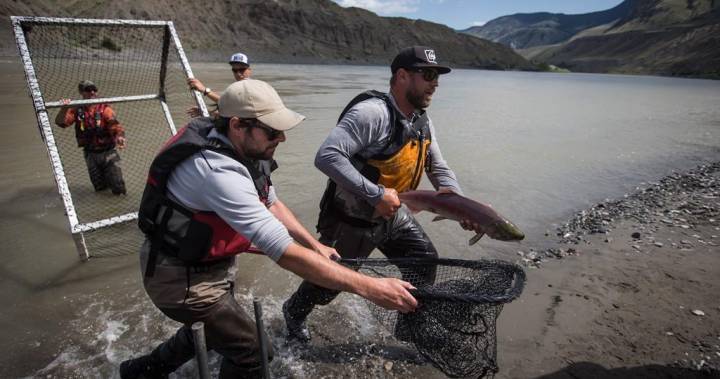 Jason Nixon - Fishing education program offered to Albertans amid COVID-19 pandemic - globalnews.ca