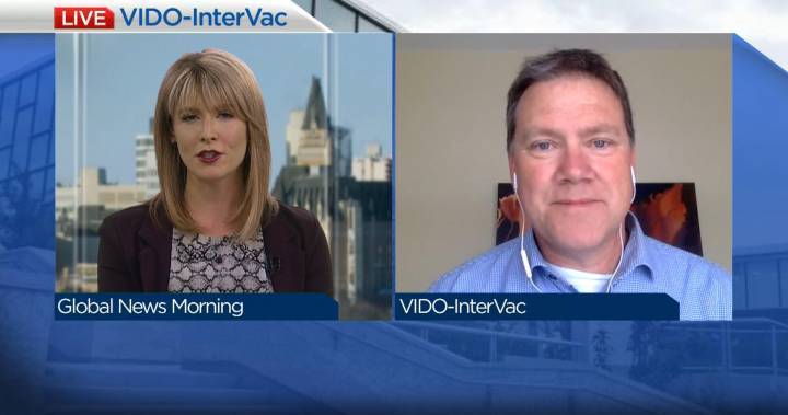 Volker Gerdts - Coronavirus: Saskatoon lab tests potential vaccine on ferrets - globalnews.ca