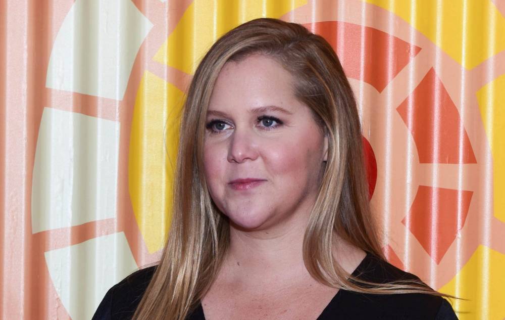 Amy Schumer - Chris Fischer - Amy Schumer To Star In Self-Quaratine Cooking Show For Food Network - etcanada.com