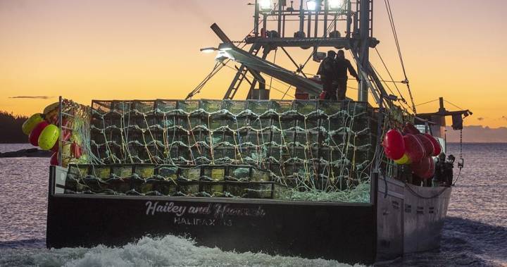 Nova Scotia - Bernadette Jordan - Lobster fishers, processors call for delay of spring season - globalnews.ca - Jordan