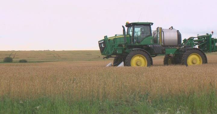 Coronavirus: survey shows Saskatchewan farmers worried about revenue loss - globalnews.ca