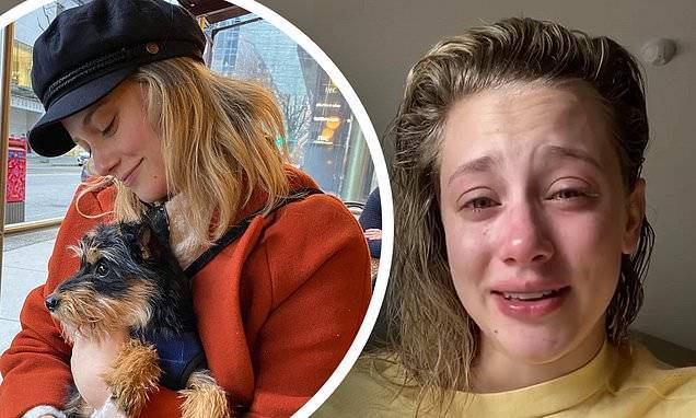 Lili Reinhart - Lili Reinhart breaks down in tears as she reveals her rescue dog Milo was 'attacked by another dog' - dailymail.co.uk