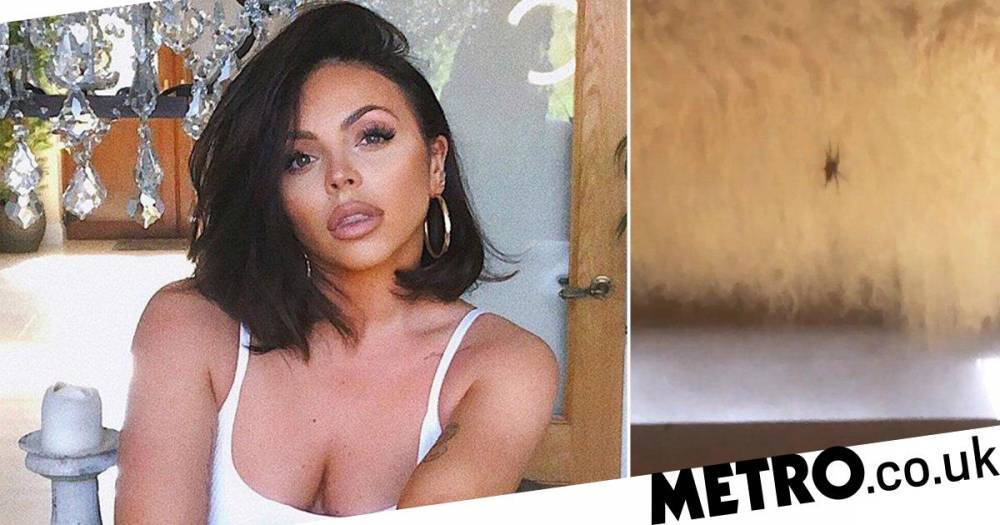 Little Mix’s Jesy Nelson has unexpected visitor in lockdown as she gets terrorised by a spider - metro.co.uk