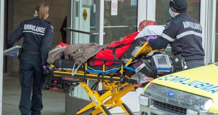 François Legault - Coronavirus: Quebec case count passes 11,000; long-term care centres struggling - globalnews.ca
