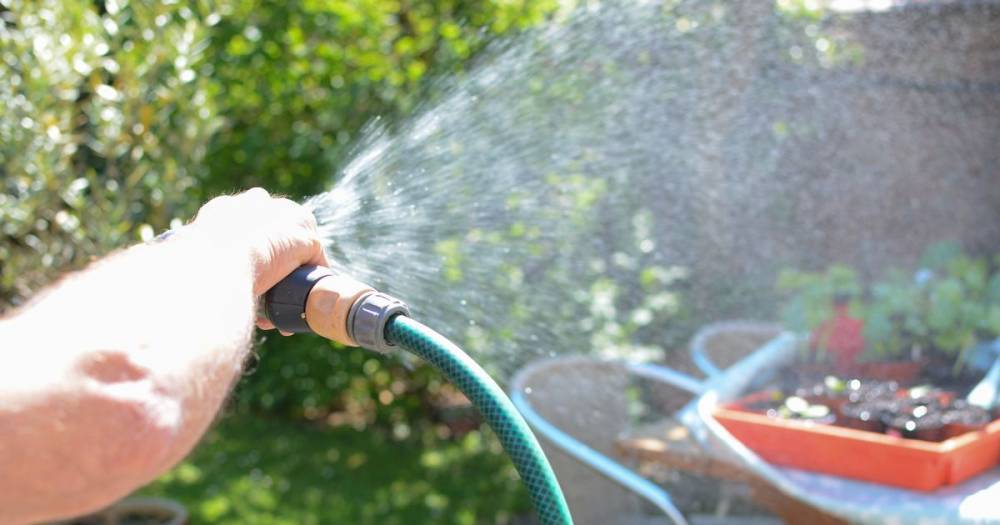 Harry Aitkenhead - Brits faced with hosepipe ban this summer as forecasters predict three dry months ahead - dailystar.co.uk