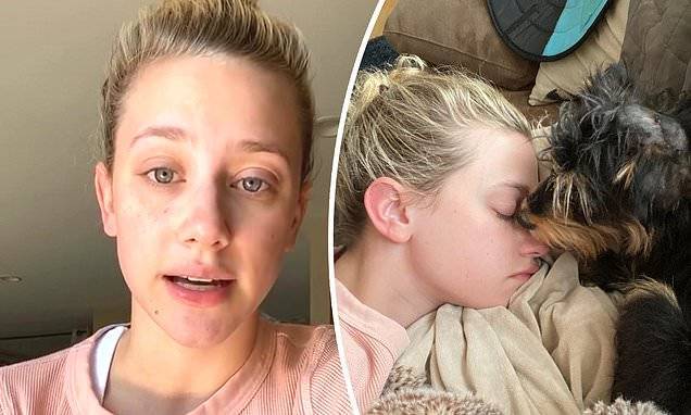 Lili Reinhart - Lili Reinhart 's dog Milo is recovering from surgery after being attacked by a dog 10 times his size - dailymail.co.uk