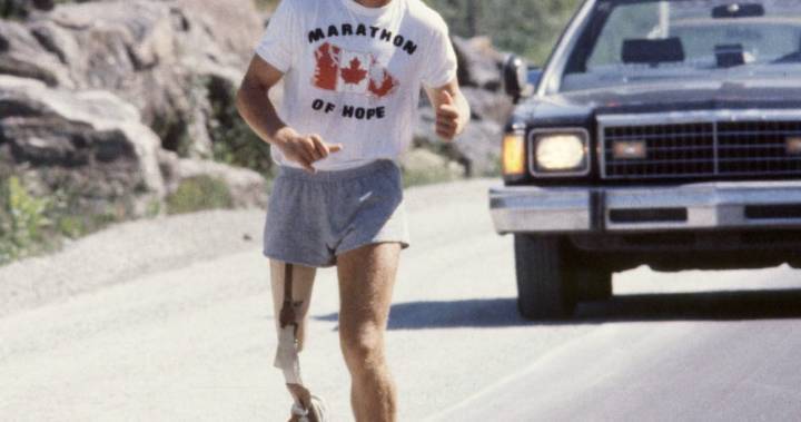 Terry Fox - Terry Fox’s brother hopes 40th Marathon of Hope can inspire Canadians during coronavirus - globalnews.ca