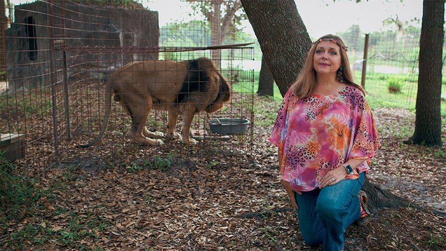 Tiger King - Carole Baskin - Don Lewis - Joseph Maldonado - 'Tiger King': Carole, Howard Baskin say they feel 'betrayal' from filmmakers, are getting death threats - foxnews.com - county Bay - city Tampa, county Bay - county Lewis