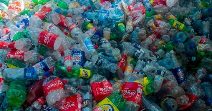 Mutant enzyme could break down plastic bottles for recycling in hours, scientists say - globalnews.ca - France