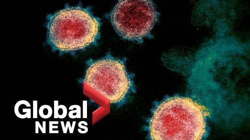 Coronavirus outbreak: 421 new coronavirus cases in Ontario, 291 total deaths - globalnews.ca - county Ontario