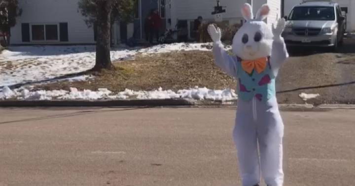Easter Bunny - New Brunswick grandmother dressed in costumes spreads joy amid coronavirus pandemic - globalnews.ca