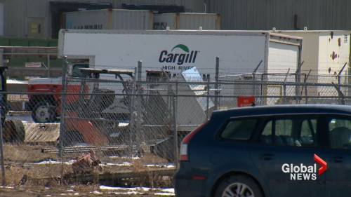 Southern Alberta meat plant makes changes amid COVID-19 outbreak - globalnews.ca